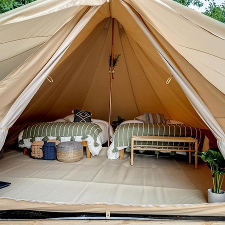 Firefly Ridge Luxury Retreat Great Cacapon Exterior foto
